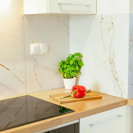 Apartment Przytulny Niedaleko Lotniska W Modlinie